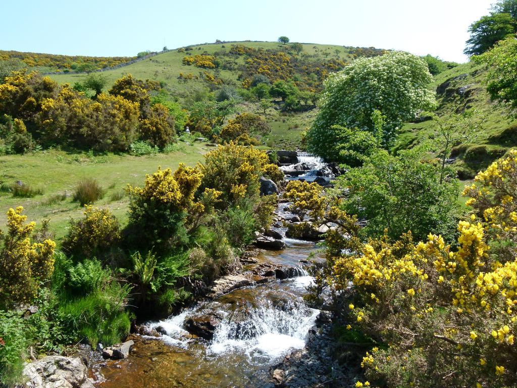 Collaven Manor Hotell Okehampton Exteriör bild